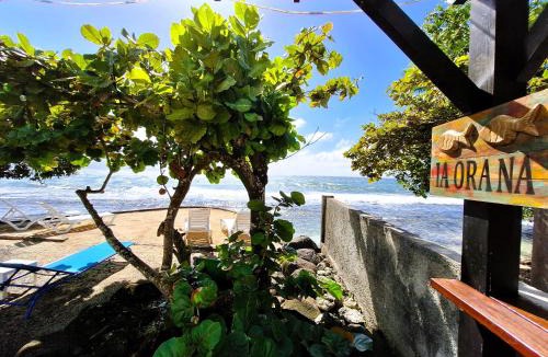 Afaahiti House | TAHITI - Fenua Chill House