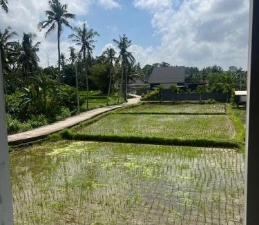 Mas Villa | The Amani