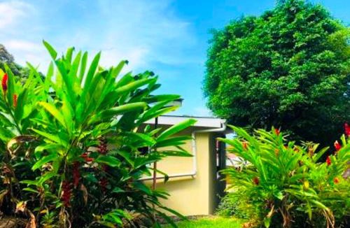 Anse aux Pins Apartment | The Reef Palm