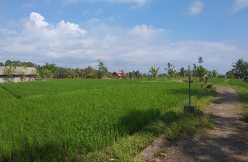 Penebel House | Trinadhi Homestay