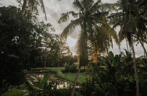 Mas Villa | Uma Lys Villa Ubud