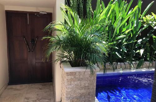 Central Seminyak Villa | Villa Anyelir