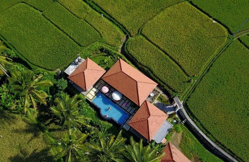 Andong Villa | Villa Gusku Ubud Bali