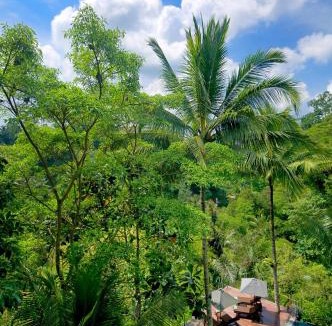 Tegallalang Villa | Villa Kalisha - Romantic, Seclusion in the heart of Nature