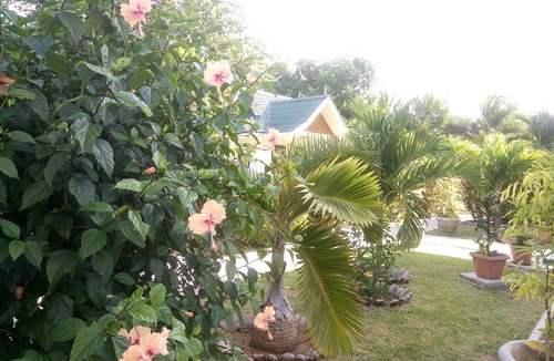 La Digue Villa | VILLA KERLAN - The Cottages of Anse Reunion. Close to the beach