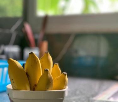 Anse Boudin Apartment | Villa Manoir