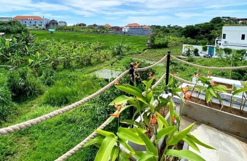 Padonan Villa | Villa Pasha 4BR private with pool near Canggu