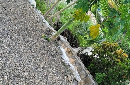 Discovery Bay Villa | Villa Serenity, Water View Suite, Sleeps 3 w/Pool
