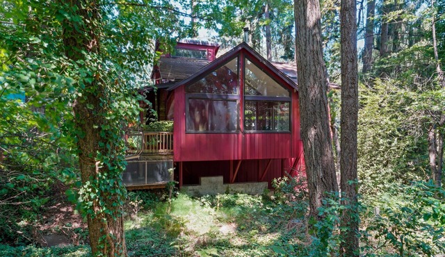Spacious, Tranquil “Treehouse” with Sauna and Fireplace