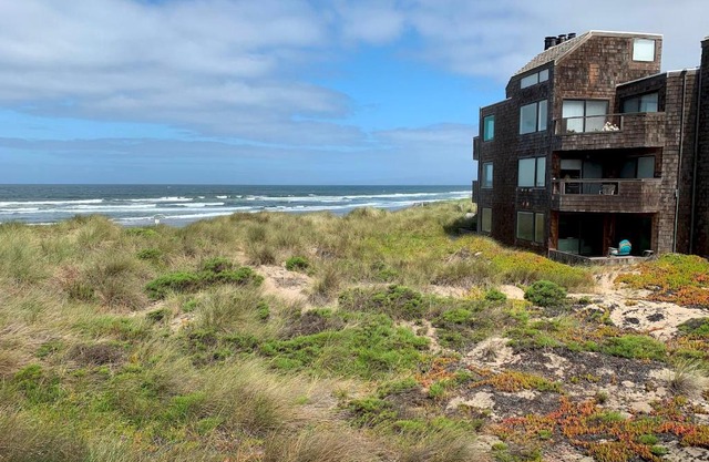 Beach Condo Shorebirds 22