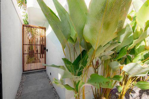 By Pass Ngurah Rai House | 100 m² House ∙ 2 bedrooms ∙ 4 guests