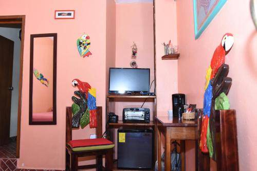 Downtown Cancun Bed & Breakfast | 15 m² Bed and breakfast ∙ 2 guests