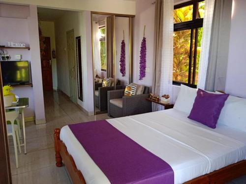Mahe Island Apartment | Anne Hillside Apartment