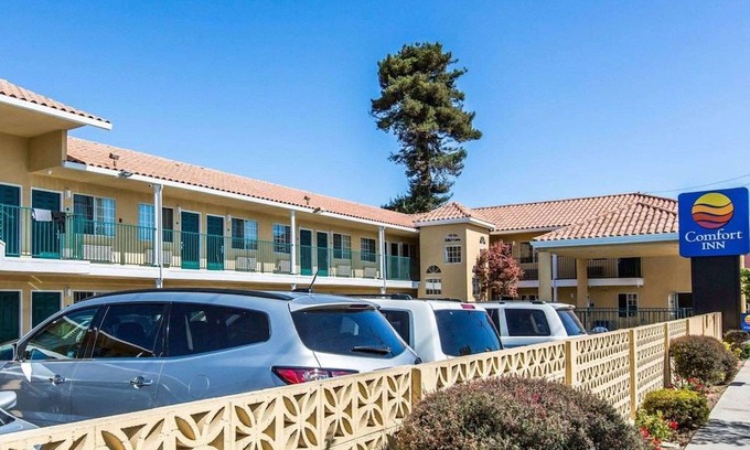 Beach Hill - Beach Flats Hotel | Comfort Inn Boardwalk