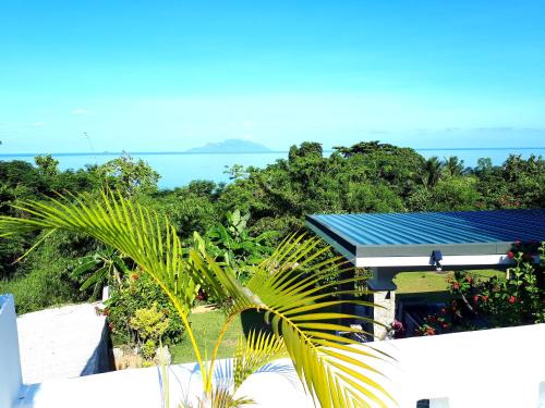 Mare Anglaise Apartment | Rose Self Catering