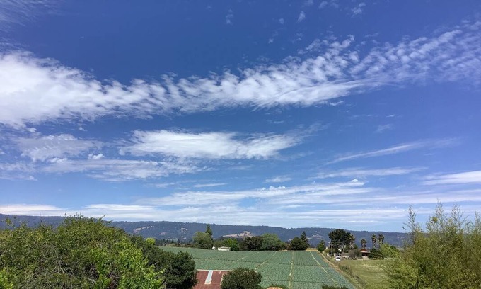 Aptos Hills-Larkin Valley Resort | Private room ∙ 2 guests