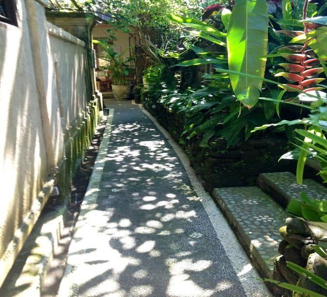 Photo of Others in Ubud