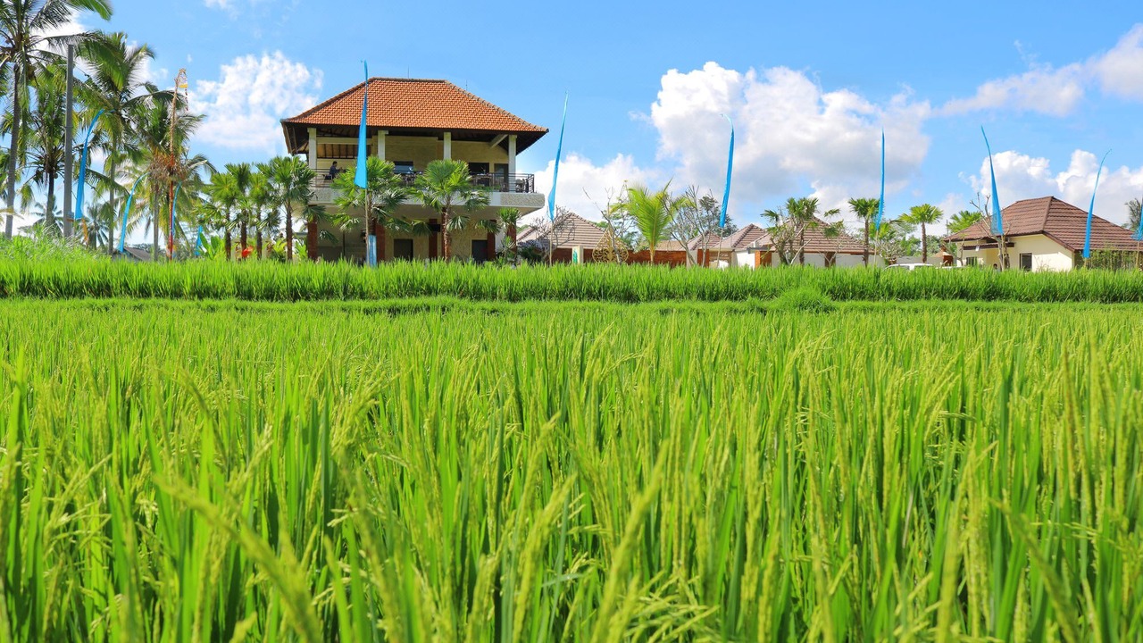 Photo of Buildings in Kenderan