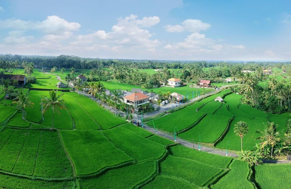 Photo of Others in Kenderan