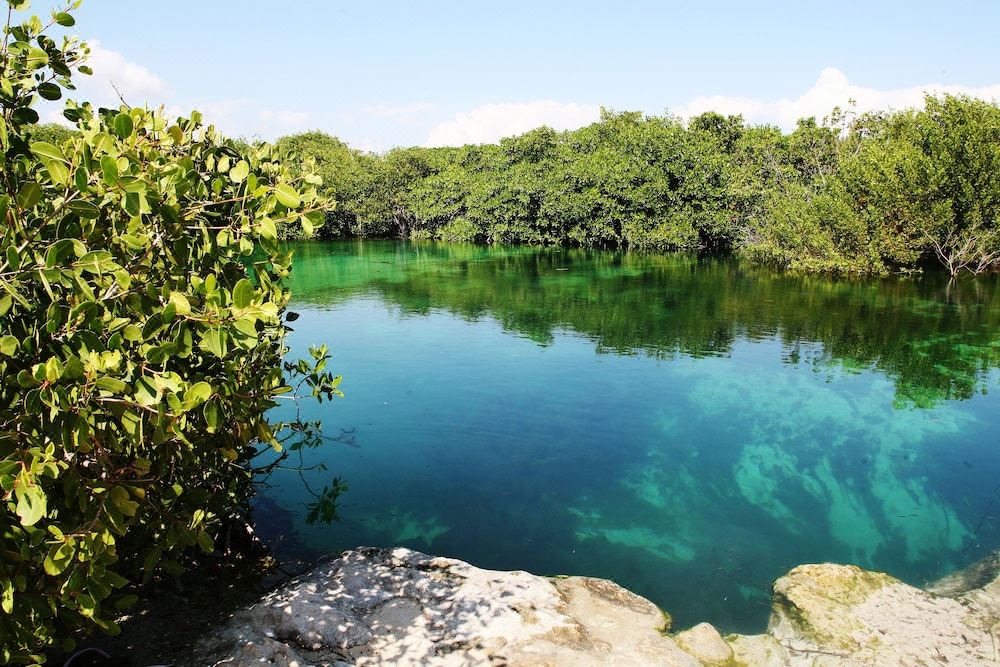 Photo of Outdoor in Villa Juarez