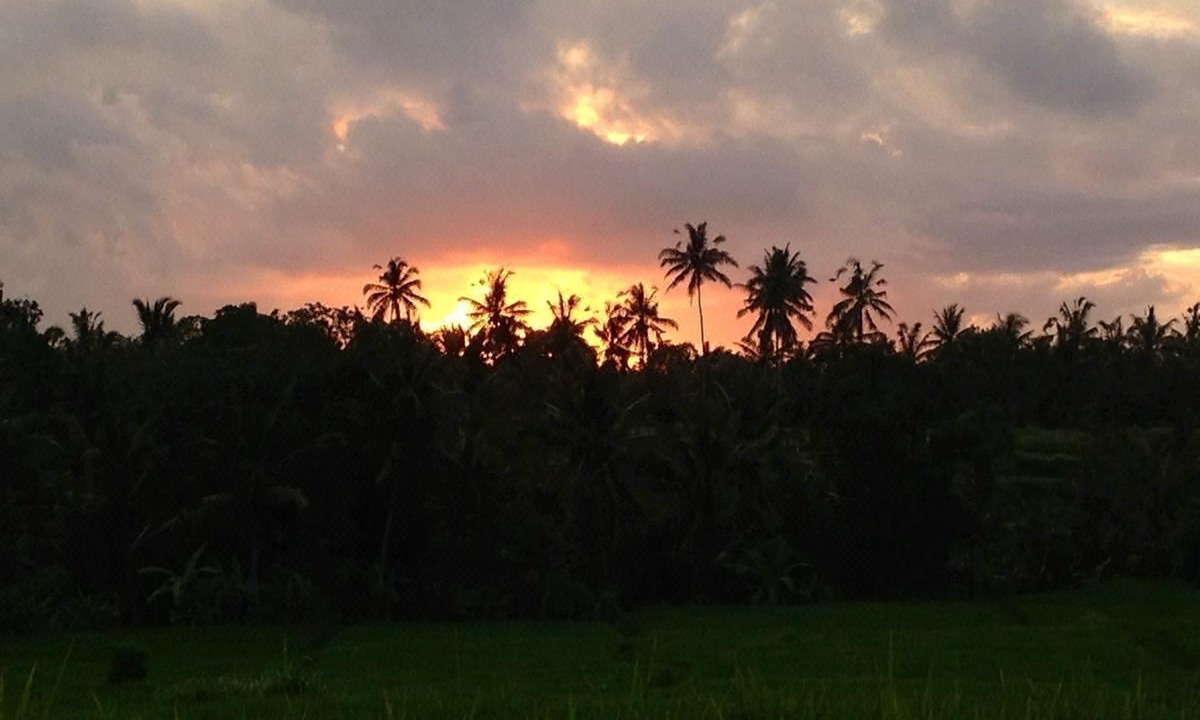 Photo of Outdoor in Ubud