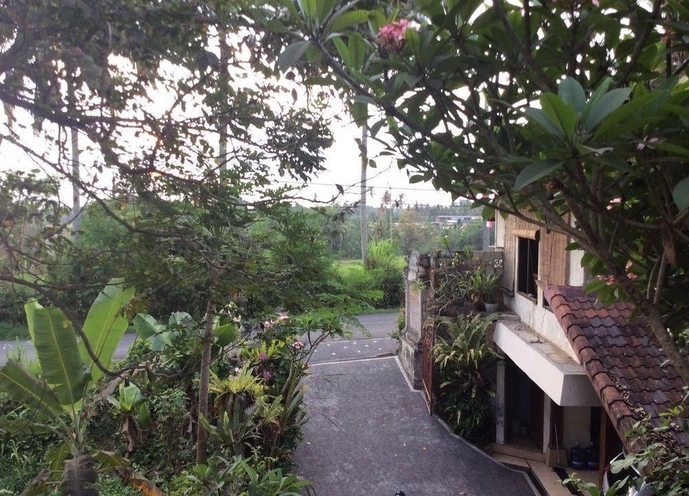 Photo of Others in Ubud