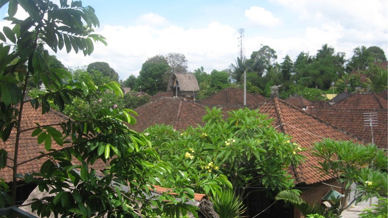 Photo of Others in Ubud City-Centre