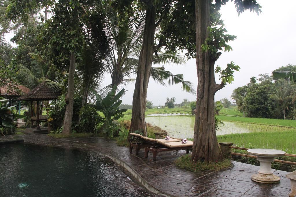 Photo of Outdoor in Tabanan