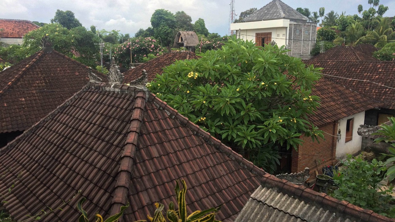 Photo of Buildings in Ubud City-Centre
