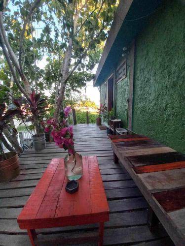 Photo of Others in Isla Holbox