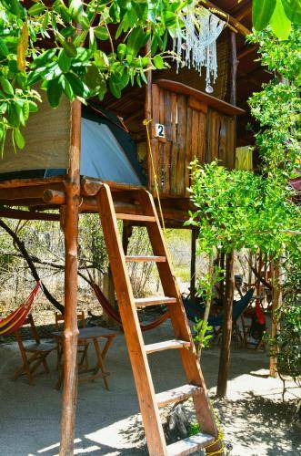 Photo of Others in Isla Holbox