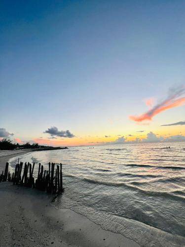 Photo of Others in Isla Holbox