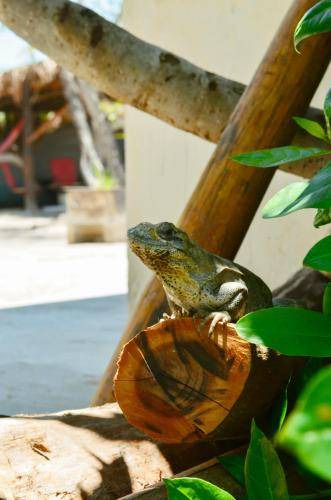Photo of Others in Isla Holbox