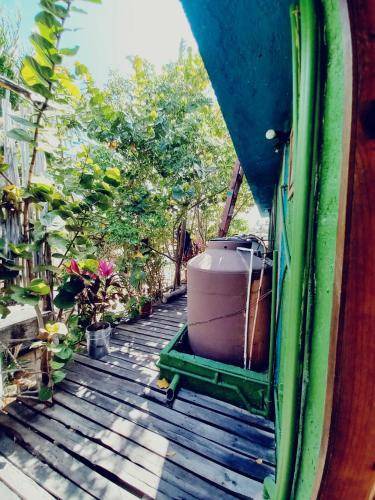 Photo of Others in Isla Holbox