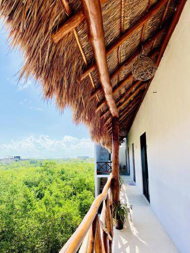 Photo of Others in Isla Holbox