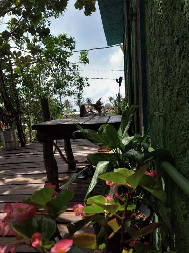 Photo of Others in Isla Holbox