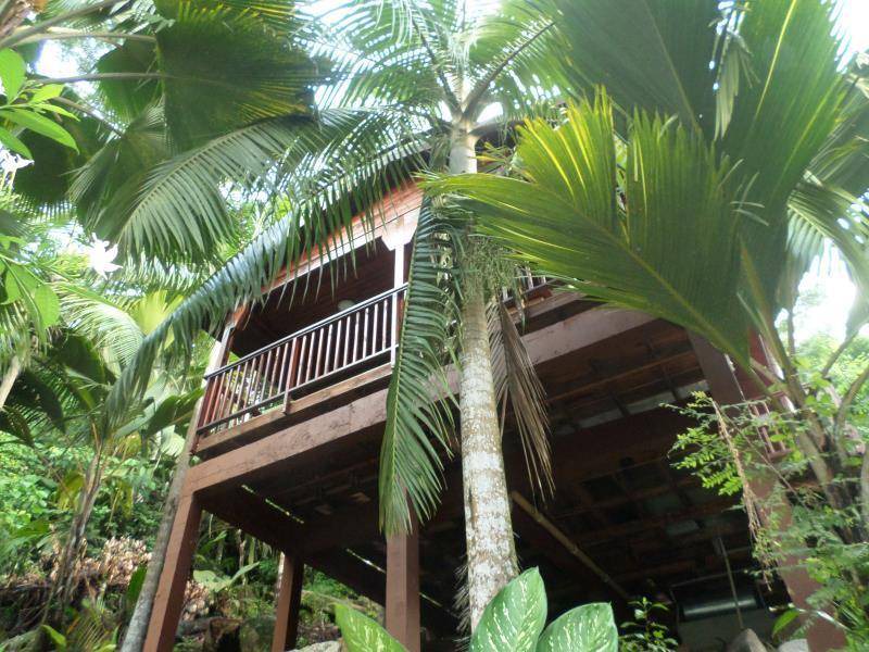 Photo of Others in Mahe Island