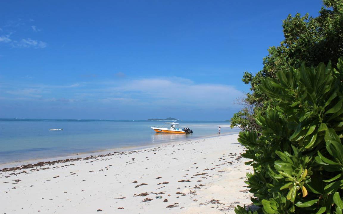 Photo of Others in Grand Anse