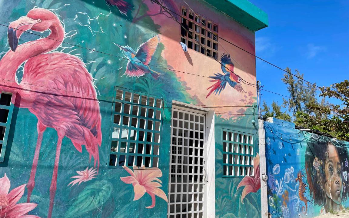 Photo of Others in Isla Holbox