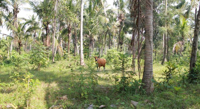 Photo of Others in Sayan