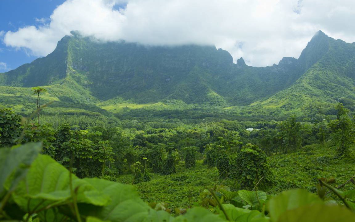 Photo of Others in Teahupoo