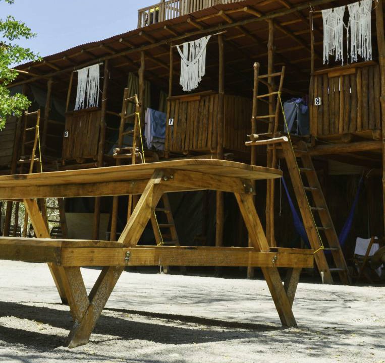 Photo of Others in Isla Holbox