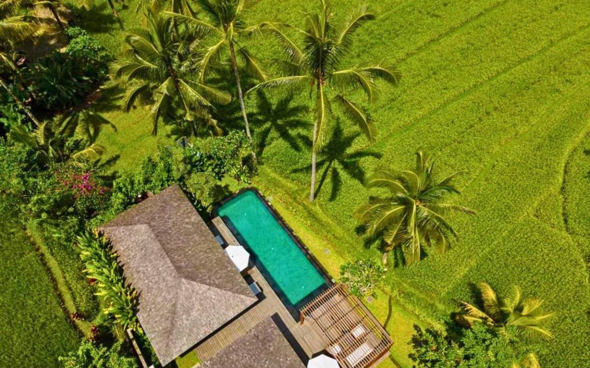 Photo of Others in Ubud City-Centre
