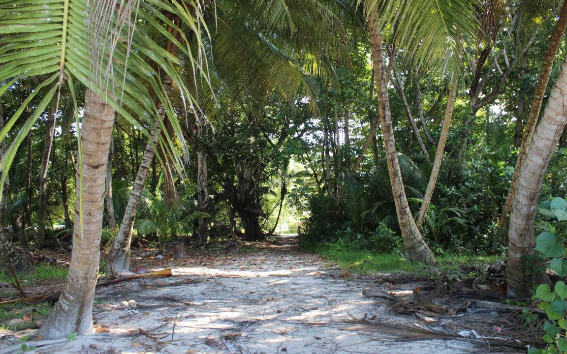Photo of Others in Grand Anse