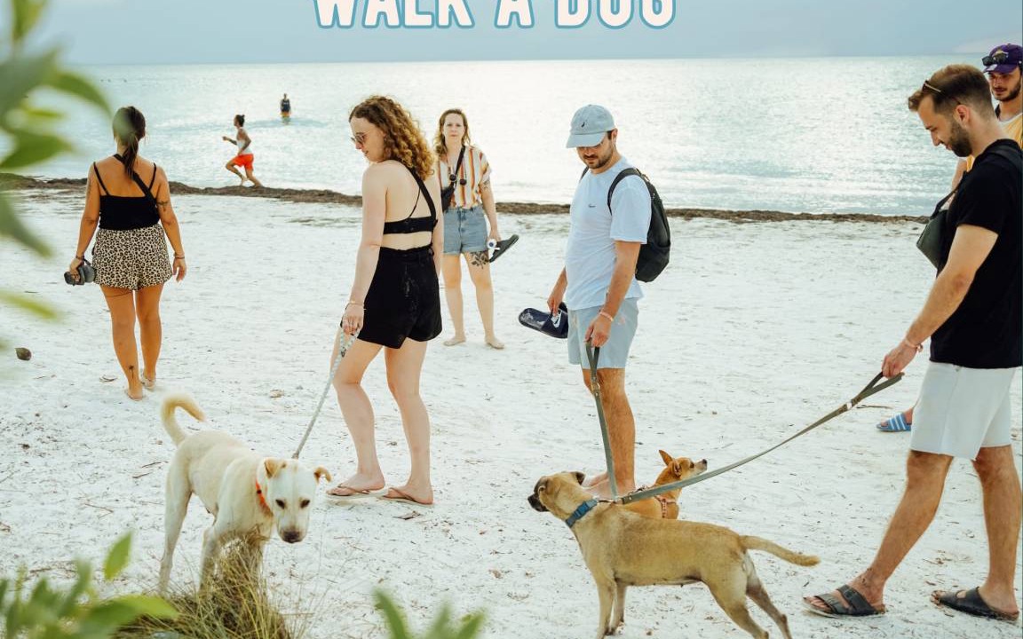 Photo of Others in Isla Holbox