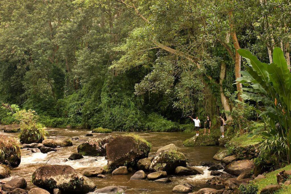 Photo of Others in Ubud