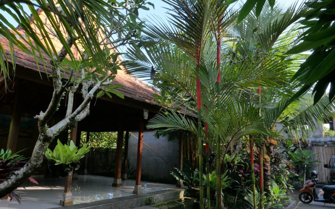 Photo of Others in Pejeng