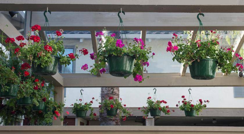 Photo of Patio Balcony in Westside Santa Cruz