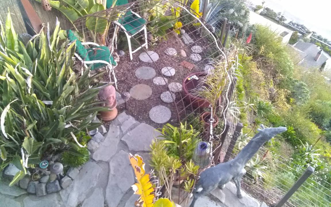 Photo of Others in Aptos