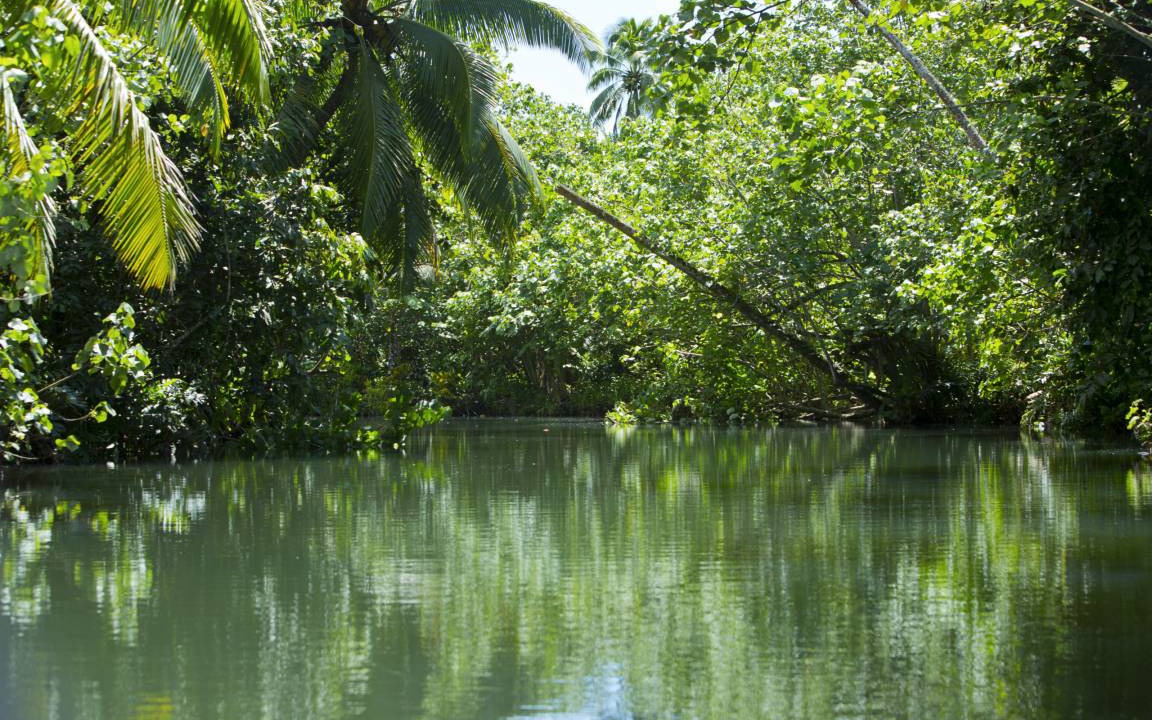 Photo of Others in Teahupoo